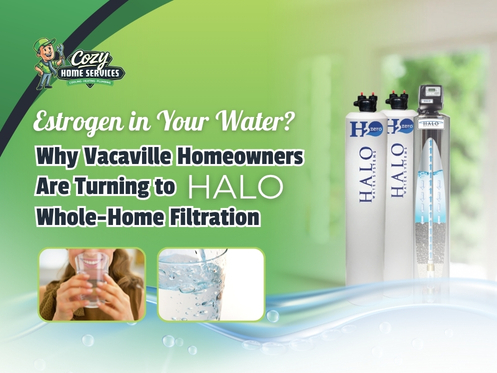 endocrine disruptors Vacaville drinking water