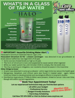 best water filter for estrogen