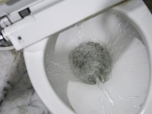 Toilet in need of Plumbing Repair in Vacaville, CA